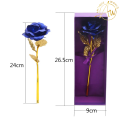 Golden Rose - The 24 Karat Gold Rose. 