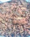 Dry Khubani (sookhi khubani) - 1000gm. 