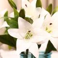 1 Pc 3 Heads Sweet Artificial Flower Fake Lily Floral Home Wedding Party Decor. 