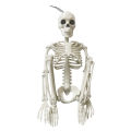 Halloween Skeleton Animated Foldable Plastic Couple Skull Bones Ornaments Party Decoration. 