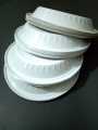 Disposable Plastic Plates Set of 10 pcs  in Various Sizes Small and Large Sizes for Versatile Use. 