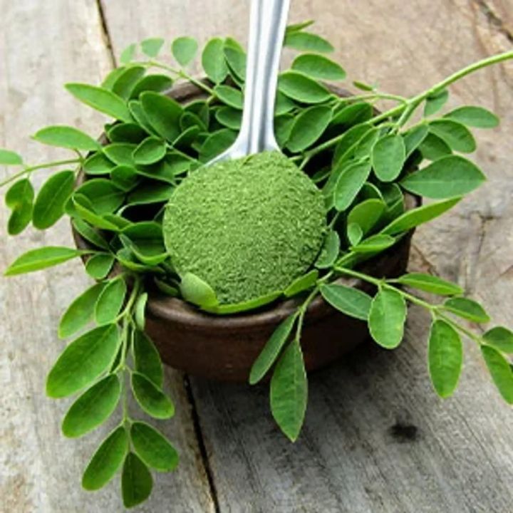 Moringa Leaf Powder 250gm -Organic Premium Quality سہانجنا کا پاؤڈر ...