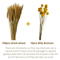FEER 100P rie Wheat tk ecr & 15 t w Bi B , Autu F Fw ecrat. 