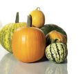 Pumpkin Seeds (Halwa Kaddu) Fresh Seeds - High Germination Rate. 