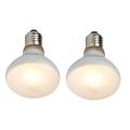 2 Pack Reptile Uvb Uva Heat Lamp Bulb For Reptiles Truly Sun-Like Bright Heat For Reptiles, Amphibian And Birds (100 W). 