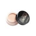 Focallure Full Coverage Concealer 6 Shades. 