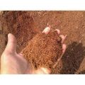 3 Kg Cocopeat - 100% Natural Imported Coco Peat Organic Growing Medium For Plants. 