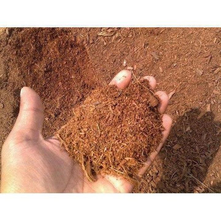 3 Kg Cocopeat - 100% Natural Imported Coco Peat Organic Growing Medium For Plants