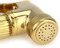 Toilet Hygiene Kit Bidet Portable Wall Mounted Spray/Spray Head/Hand Shower Shattaf Set for Personal Care Hygiene Potty Toilet Gold. 