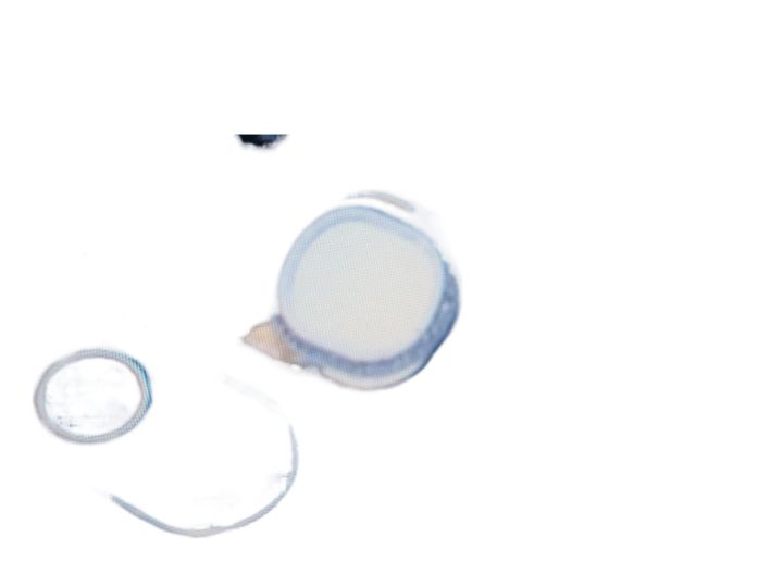 Tecno%20CD8%20Camon%2015%20Fingerprint%20-%20Image%202