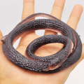 Realistic Rubber Cape File Snack Toy Gift for Kids – Fun & Unique Plaything. 