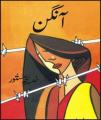 Aangan Novel By Khadija Mastoor. 