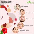 Shudh Online Organic Hibiscus Powder for Hair Growth (100 Grams),  Eating (Gudhal ka Phool, Mandaram, Gongura, Mandaram, Arhul). 