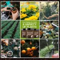 Green Home Soil Activator Improve Germination Rate Soil Activated Treasure Activator. 