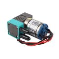 2Pcs/Lot JYY Small Ink Pump for Galaxy Wit Color Human Infiniti Phaeton Solvent Plotter Printer 3W 24V100-200Ml Micro-Ink Pump. 