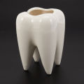 Tooth Shape White Ceramic Flower Pot Modern Design Planter Teeth Model Mini Desktop Pot Creative Gift(without plants). 