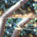 Portable Stainless Steel Wire Saw with Finger Handle Outdoor Camping Hiking Pocket Manual Cutting Chain Saws Survive Tool. 