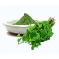 Mint Powder  Podina Powder  100g Mint Powder. 