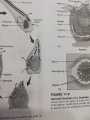 Zoology 10th Edition by Stephen Miller , John Harley. 