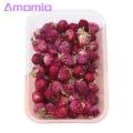 Embossed Dried Flowers Diy Dried Flowers Kit Real Natural ing Flowers for Handmade Jewelry Nails Crafts Bulk Dried Flower Material Favorite Floral Mural Decorations. 
