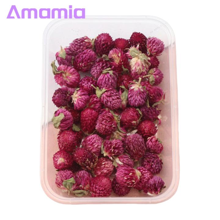 Embossed Dried Flowers Diy Dried Flowers Kit Real Natural ing Flowers for Handmade Jewelry Nails Crafts Bulk Dried Flower Material Favorite Floral Mural Decorations