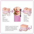 Derma Roller 0.1mm with hard acrylic box 540 Micro Needle for Hair Growth and Facial Skin Therapy| Skin Care Beauty Tool for Anti-Aging Skin Repair, Anti Wrinkles Stretch, and Acne Scars Removal for Men and Women, Derma Roller for Hair Growth - Derma Roll. 