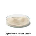 Agar Agar Powder Lab Grade  5G to 100G  High Purity & Plant Based – For Educational Use, School & College Labs, Science Experiments, DIY Projects, Media Gel Preparation, Botanical Studies, General Lab Applications & Creative Scientific Tasks. 