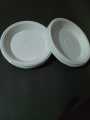 Disposable Plastic Plates Set of 10 pcs  in Various Sizes Small and Large Sizes for Versatile Use. 