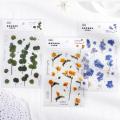 1Sheet Spring Flowers PET Stickers DIY Plants Stickers for Journal Diary Scrapbooking Decoration Album Decorative Stickers. 