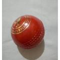 Practice Cricket soft Ball Synthetic Cricket Balls Rubber Surface Practice Balls for Soft and Hard BatsNote random color will be delivered. 