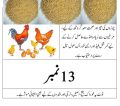Premium Chicken Feed & Dana – 500gm | High Protein Mix, Egg Booster & Growth Starter – All Stages Feed (Chicks, Hens & Ducks). 