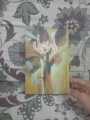 AMAR BAIL AND ISHQ AATISH (PACK OF 2) BEST READING NOVELS.. 