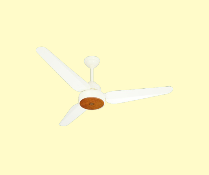 Shaban Fan Inverter 56” | Daraz.pk