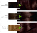 Garnier Color Naturals - 4.15 Frosty Dark Mahogany Hair Color. 