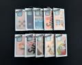 Casetify Original iPhone Case Compatible with All iPhone Series Durable & Stylish Protective Cover. 