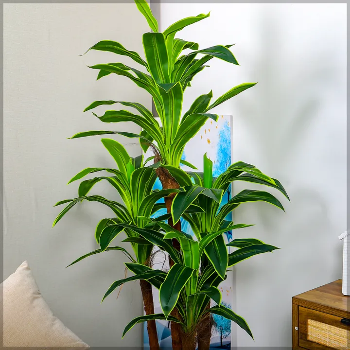 Imported%20artificial%20%20Dracaena%20Plant%20with%20black%20Planter%20-%20Image%207