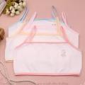 Pack Of 3 - Young Girls Bra For Teen Age Girls. 