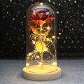 Rose In Flask Beauty And The Beast Gold-plated Red Rose With LED Light In Glass Dome For Wedding Party Mother's Day Gift. 