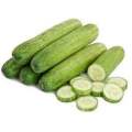 20+ Cucumber Desi Kheera Kitchen Gardening Vegetable Seeds. 