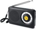 DreamSky AM portable FM radio with speaker and headphone jack. 