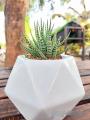 Ceramic Pot, Ceramic Pot Diamond Design, Elegant and Durable Pots. 
