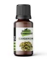 Herbalia Pansar Cardamom Essential Oil - Aromatherapy Natural Fragrance Diffuser - All Types of Skin Use with Carrier Oil - Pure -10 ml. 