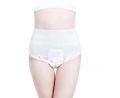 Ezi - Pants pads (Sanitary Pads) Pack of 10  Ezi-Pants Sanitary Pants Ultra Absorbent Protection upto 12 hours. 