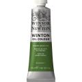 Winsor Newton Oil Paint All Color Range 37 ml. 