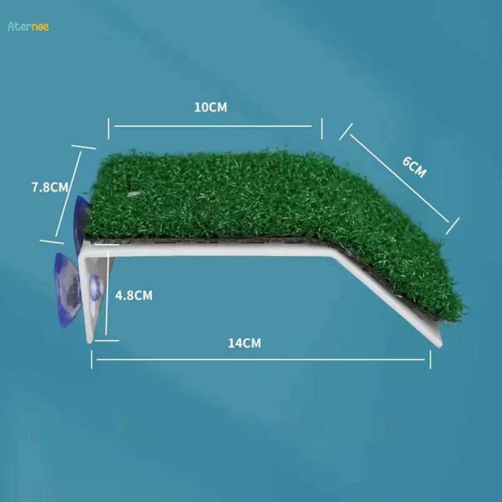 Turtle%20Resting%20Basking%20Platform%20Aquatic%20Reptile%20Ramp%20for%20Amphibians%20Semi%20Aquatic%20Animals%20Terrapin%20-%20Image%205