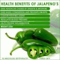 Hybrid Jalapeno Green Chili / Chilli (Sabaz Mirch) Vegetable Seeds For Kitchen Gardening. 