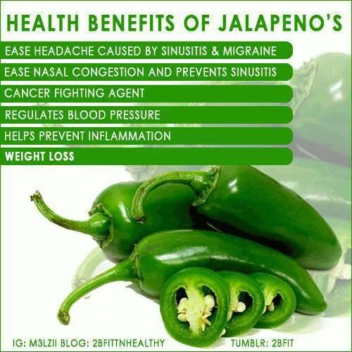 Hybrid%20Jalapeno%20Green%20Chili%20/%20Chilli%20(Sabaz%20Mirch)%20Vegetable%20Seeds%20For%20Kitchen%20Gardening%20-%20Image%2010