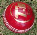 Indoor Rubber Cricket Ball - Pink - 70gm. 