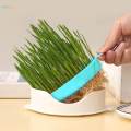 Planting Box Grass Planter Tray Soilless Germinating Trays Reusable Tray Tray for Garden Home. 