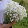 【1pc】 60cm Baby's-Breath Flowers Gypsophila Artificial Flowers /Wedding/Home Decors. 